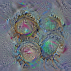 n02877765